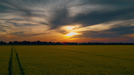 Goldener-Sonnenuntergangswolkenhimmel-Im-Rapsfeld.-Blauer-Himmel,-Orangefarbener-Sonnenuntergang-Am-Vergewaltigungsfeld