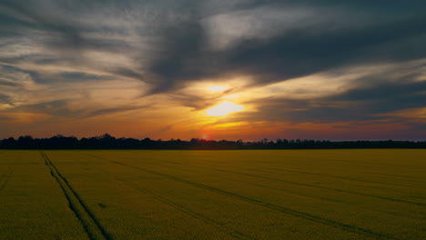 View-of-sunset-in-wheat-field-with-roads-straight-lines.-Beautiful-evening-light