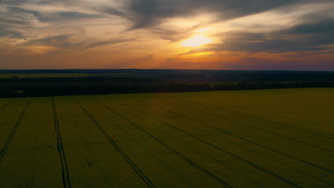 Schöner-Sonnenuntergang-Im-Rapsfeld.-Orangefarbene-Sonne,-Die-Im-Gelben-Getreidetal-Untergeht