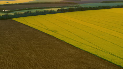 Drone-view-contrast-color-fields.-Aerial-view-yellow-fields-brown-wheat-field