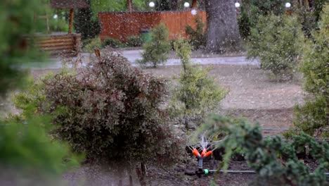 Automatic-sprinkler-splashes-water-around-green-bushes-in-courtyard-in-summertime