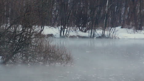 Forest-river-in-winter.-Cold-weather.-Snow-covered-riverbank.-Fog-over-river