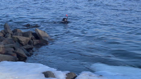 Underwater-diver-swims-near-icy-river-bank.-Scuba-diver-in-winter-river.