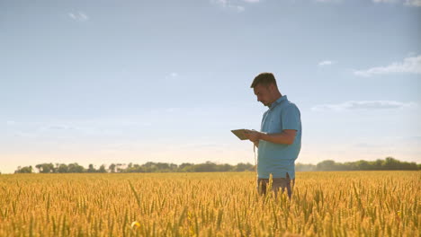 Man-using-tablet-in-wheat-field.-Agriculture-science
